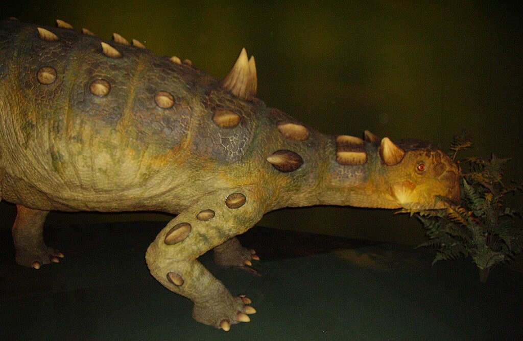 Euoplocephalus eating Animatronics model