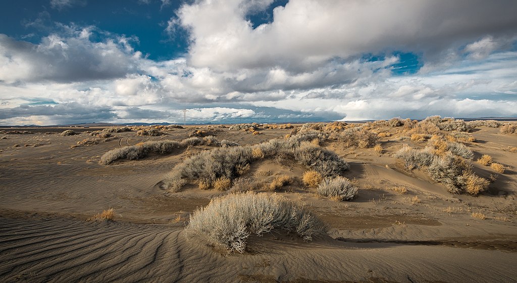 Fossil Lake