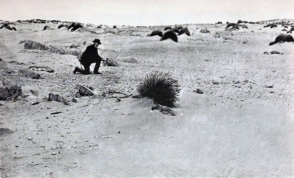 Fossil collecting