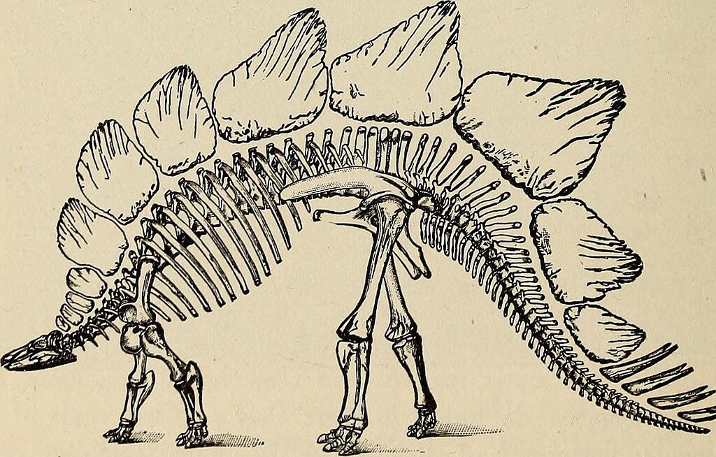 God's two books; or, Plain facts about evolution, geology, and the Bible by George McCready Price