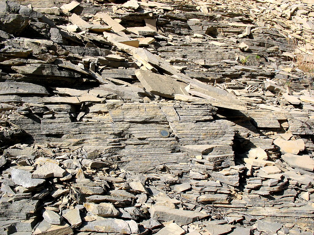 Yacimiento paleontológico de Las Hoyas