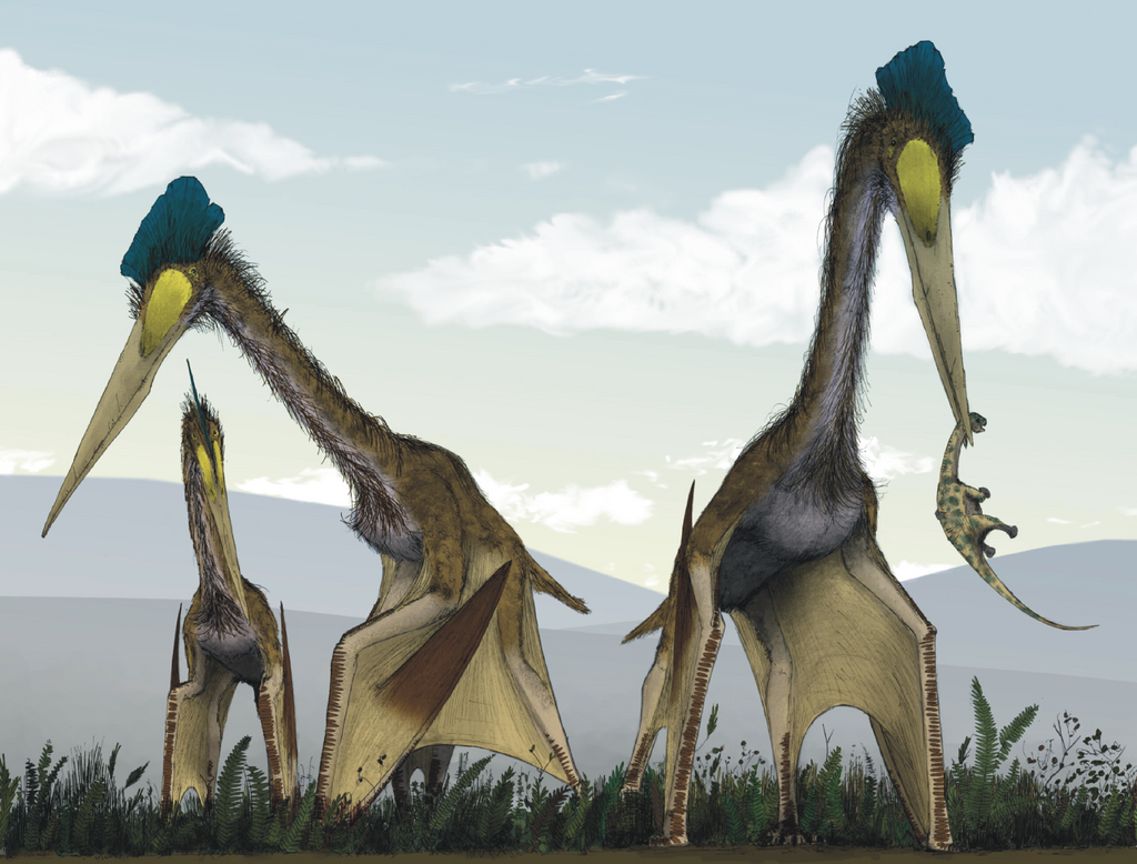 A juvenile titanosaur has been caught by one pterosaur
