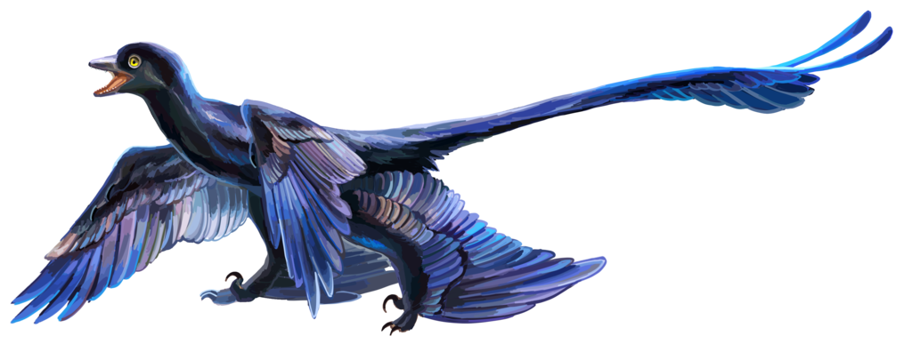 Artist's reconstruction of Microraptor zhaoianus