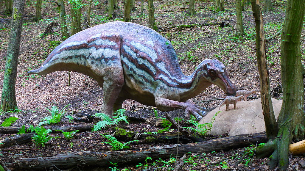 Maiasaura, DinoPark Košice