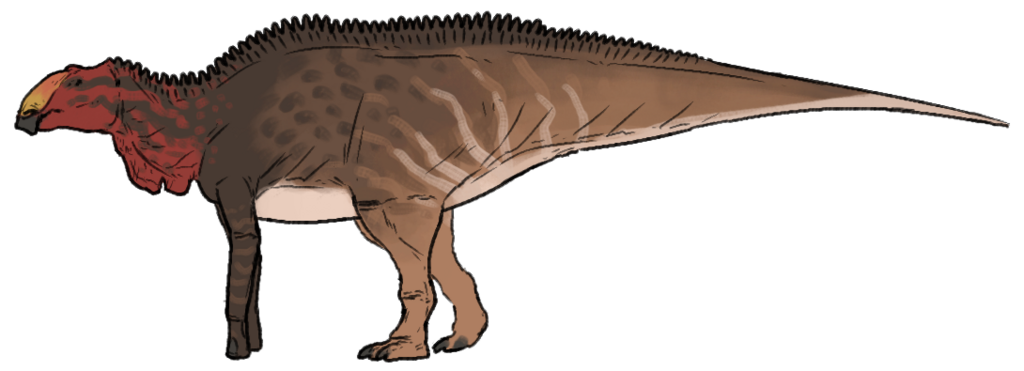 Maiasaura peeblesorum