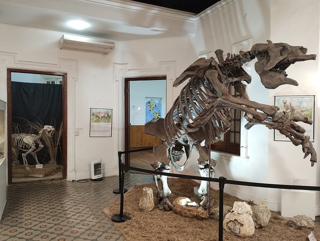 Museo de Antropología y Ciencias Naturales, Concordia, Argentina