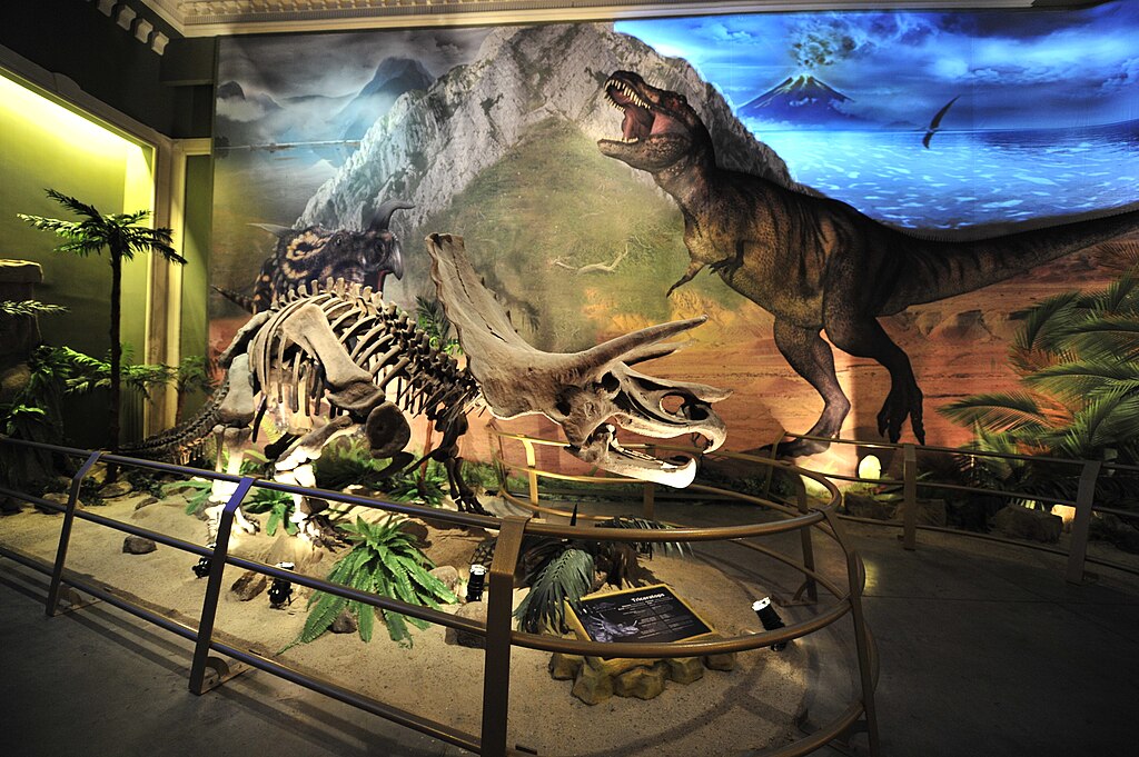 Jurassic Land Müzesinden Kareler