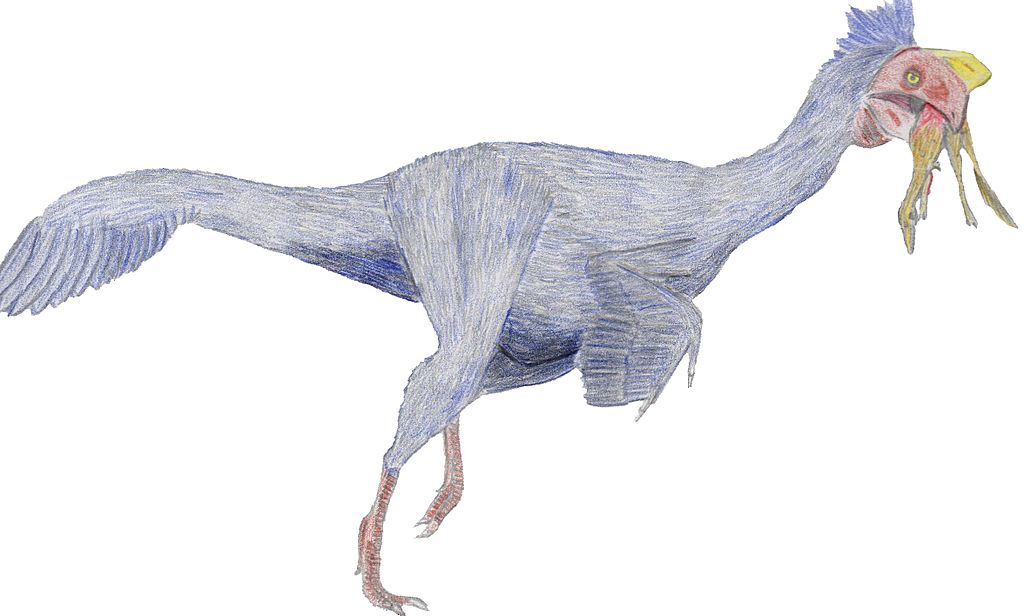 Oviraptor Shuvuuia