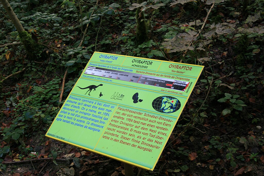 Oviraptor