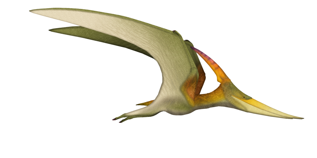 Pteranodon