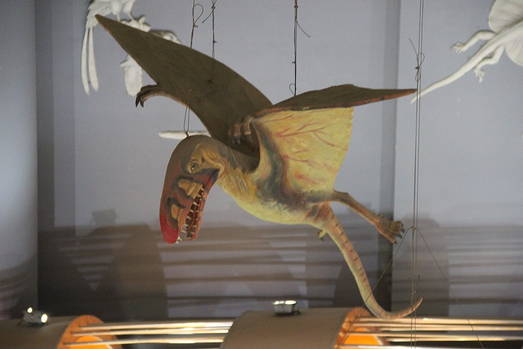 Pterosaur- Dimorphodon
