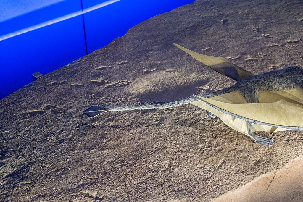pterosaur trackways detail