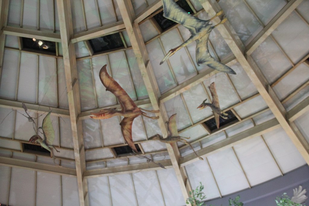 Pterosaurs