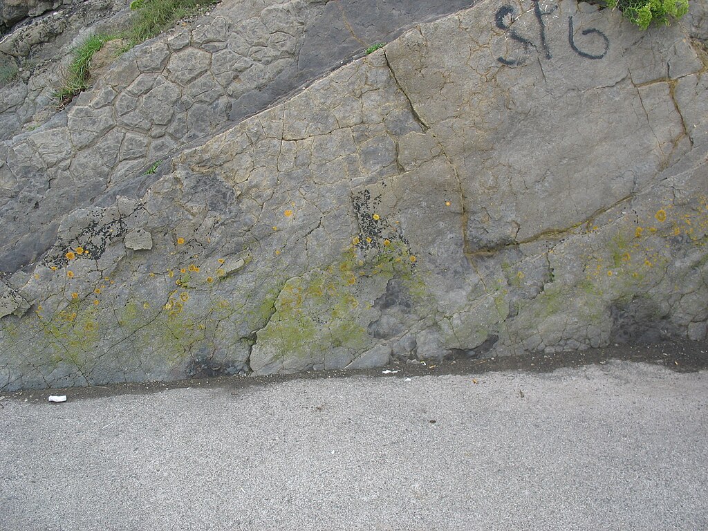 Ribadesella Beach fossil site