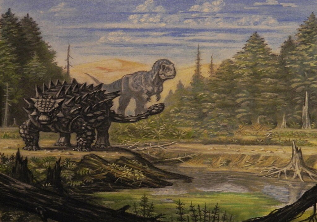 Saichania and Tarbosaurus