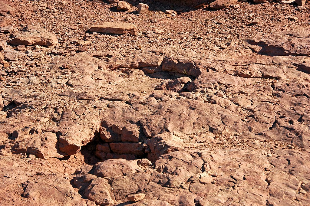 Copper Ridge Dinosaur Tracksite, Grand County, Utah