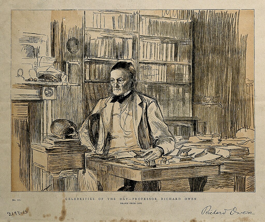 Sir Richard Owen. Colour line block