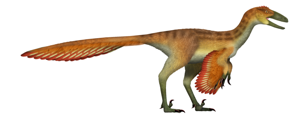 Stenonychosaurus