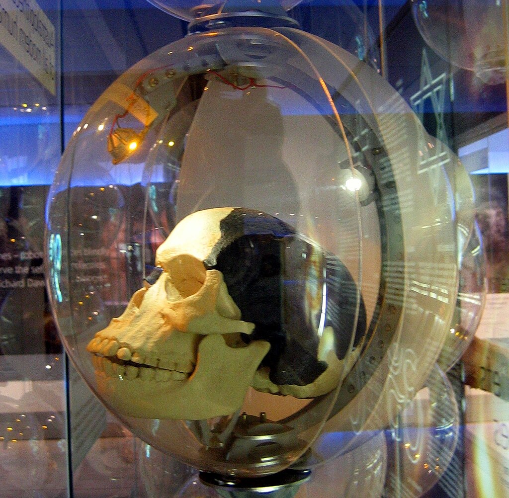 Sterkfontein Piltdown man