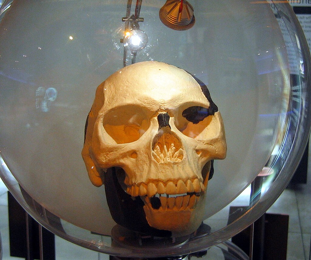 a famous paleontological hoax concerning the finding of the remains of a previously unknown early human