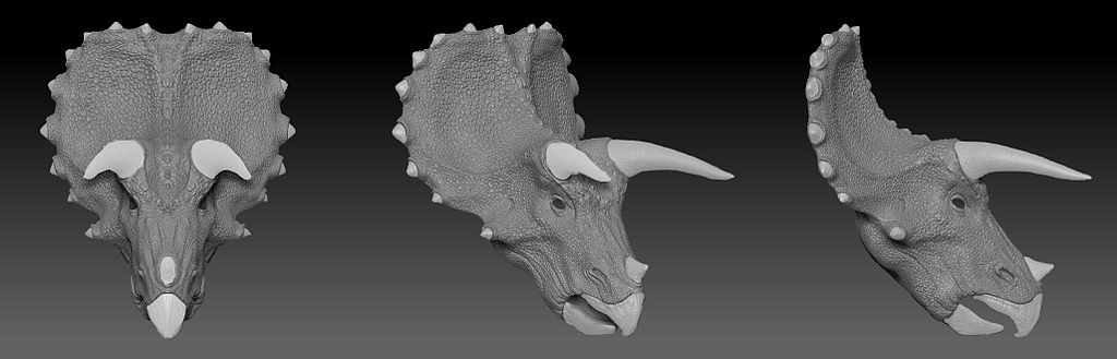 Triceratops
