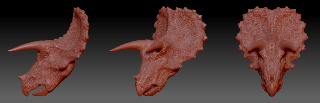 Triceratops head digital reconstruction