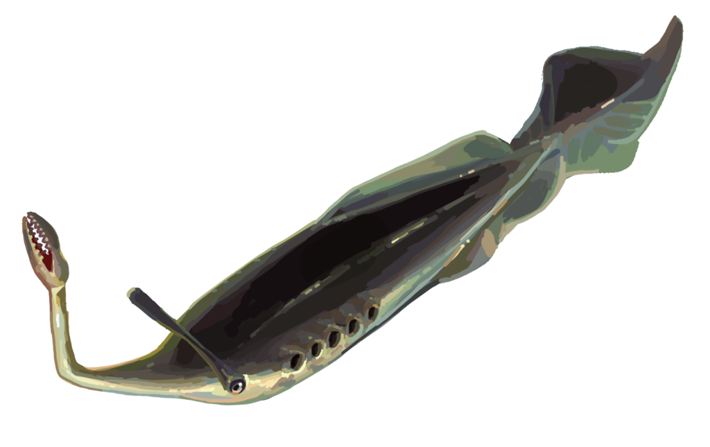 Artist's reconstruction of the enigmatic bilaterian Tullimonstrum gregarium