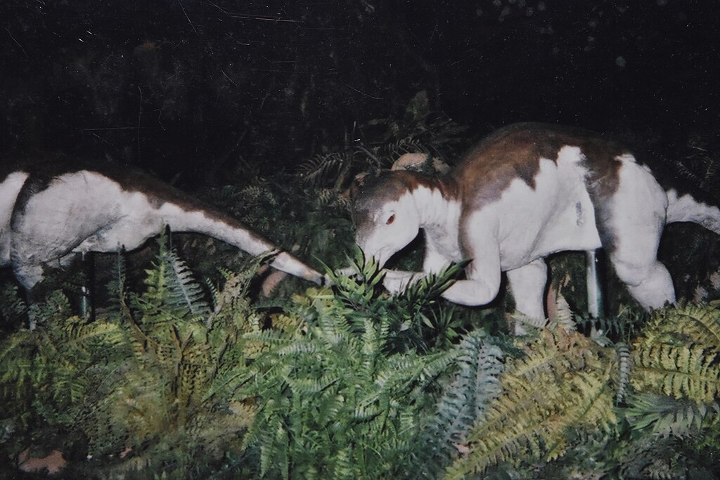 UNESCO Village - Maiasaura
