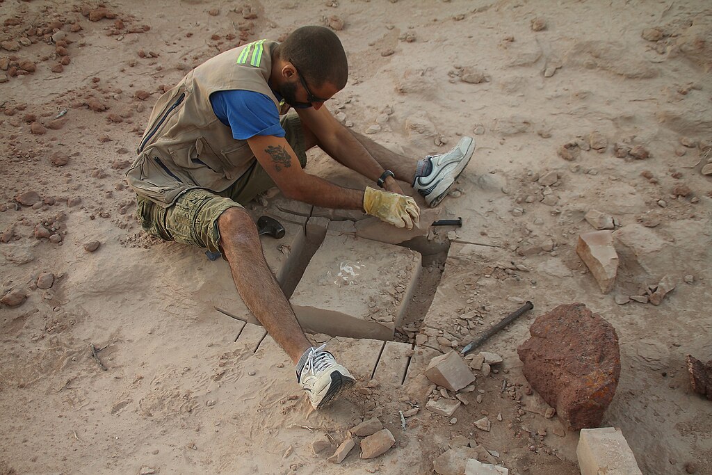 The paleontologist Pablo Gallina breakes the sandstone to collect a fossil bone