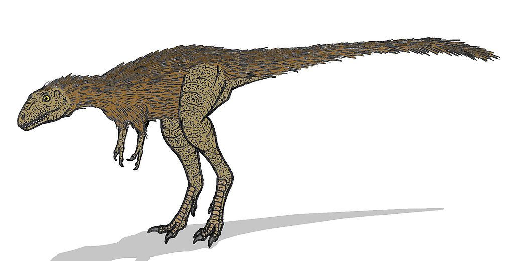 Young Tyrannosaurus rex