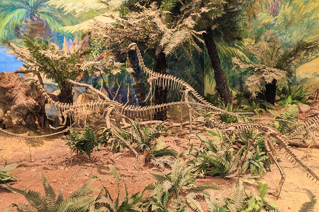 Zigong Dinosaur Museum Agilisaurus herd