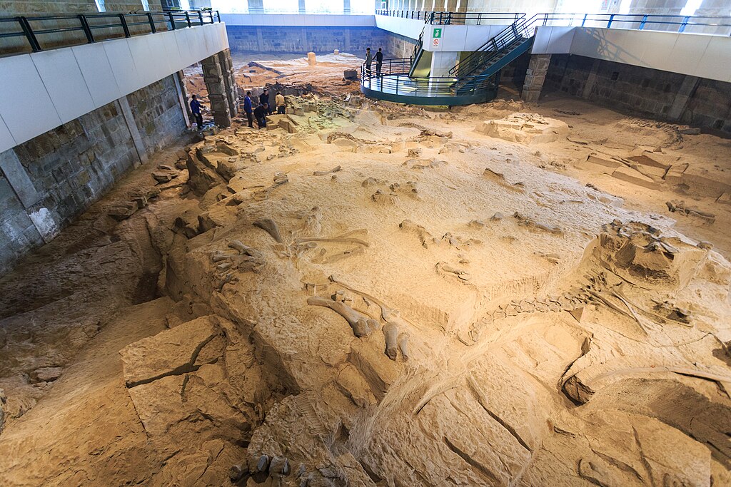 Zigong Dinosaur Museum excavation