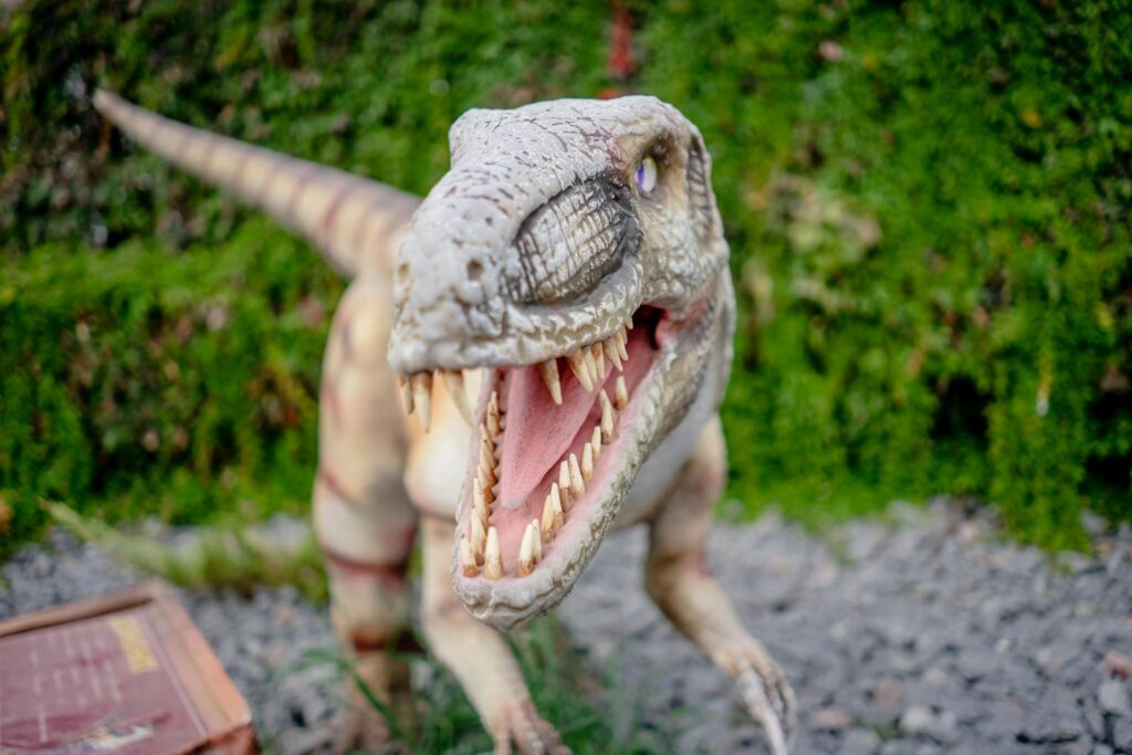Achillobator giganticus represents one of the largest dromaeosaurids ever discovered, with estimates placing it at approximately 20 feet in length and weighing around 500 pounds.