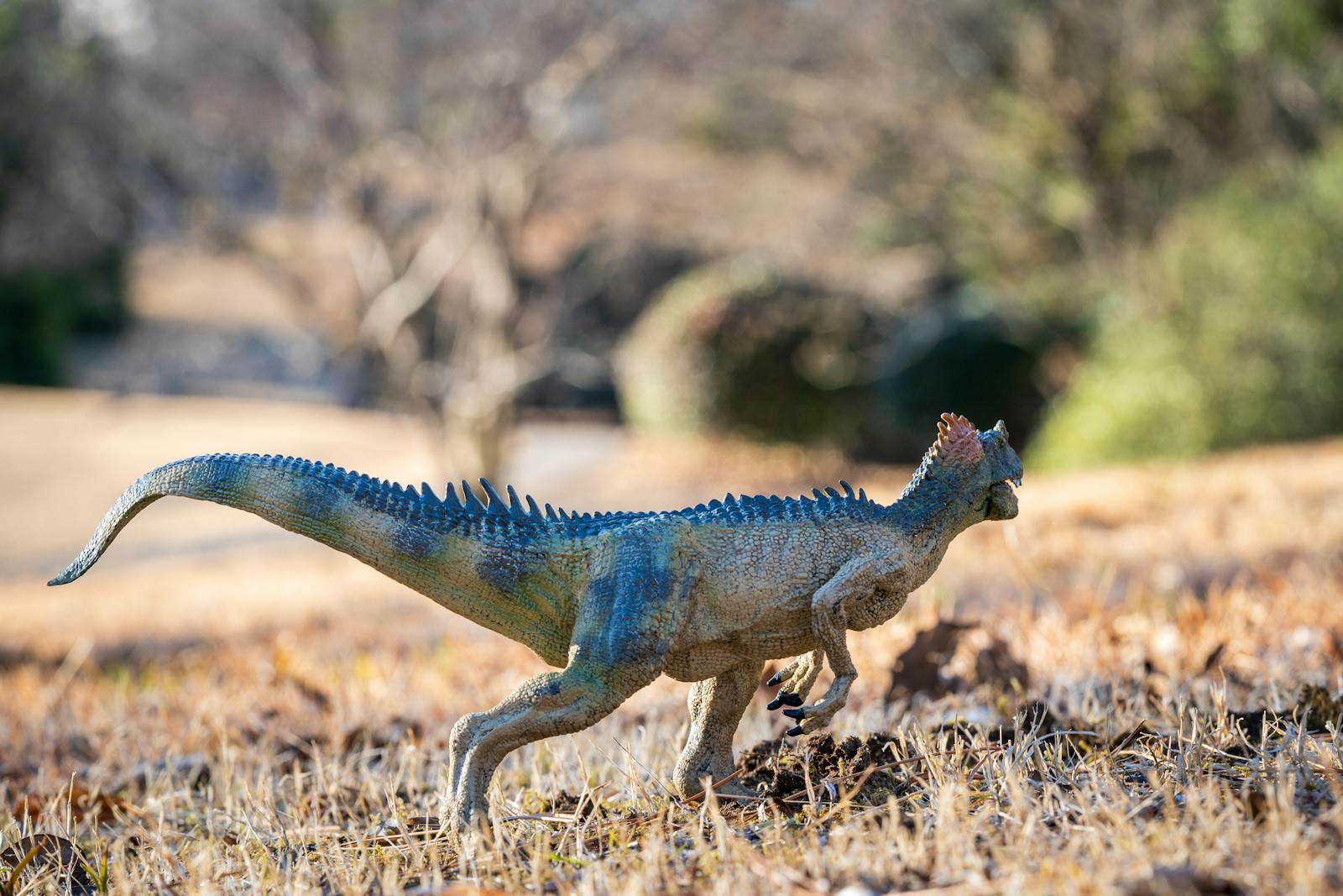How Dinosaurs Used Their Tails