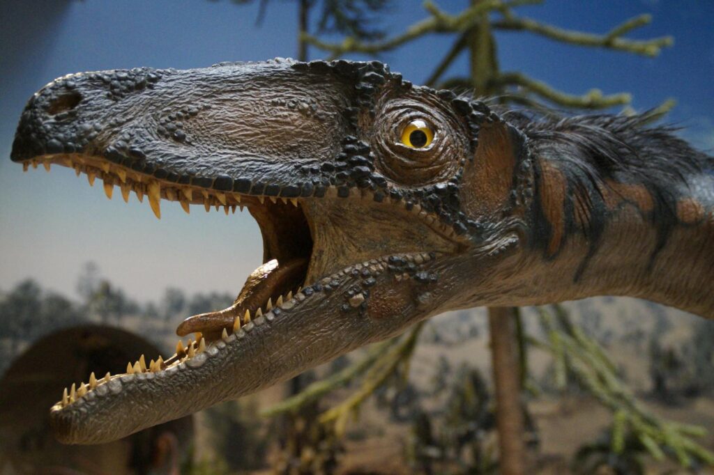 Close-up of a dinosaur replica head on display in a museum exhibit.