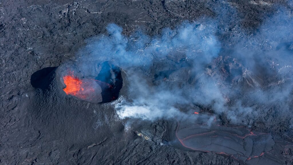 Volcanic Ash Creates Perfect Fossils