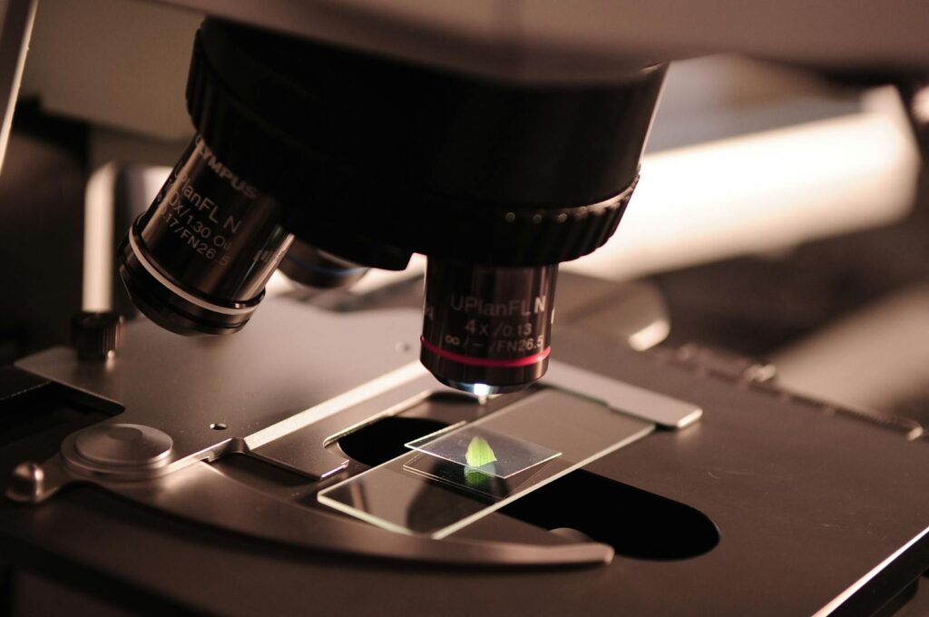 Advances in Studying the Historic Specimen