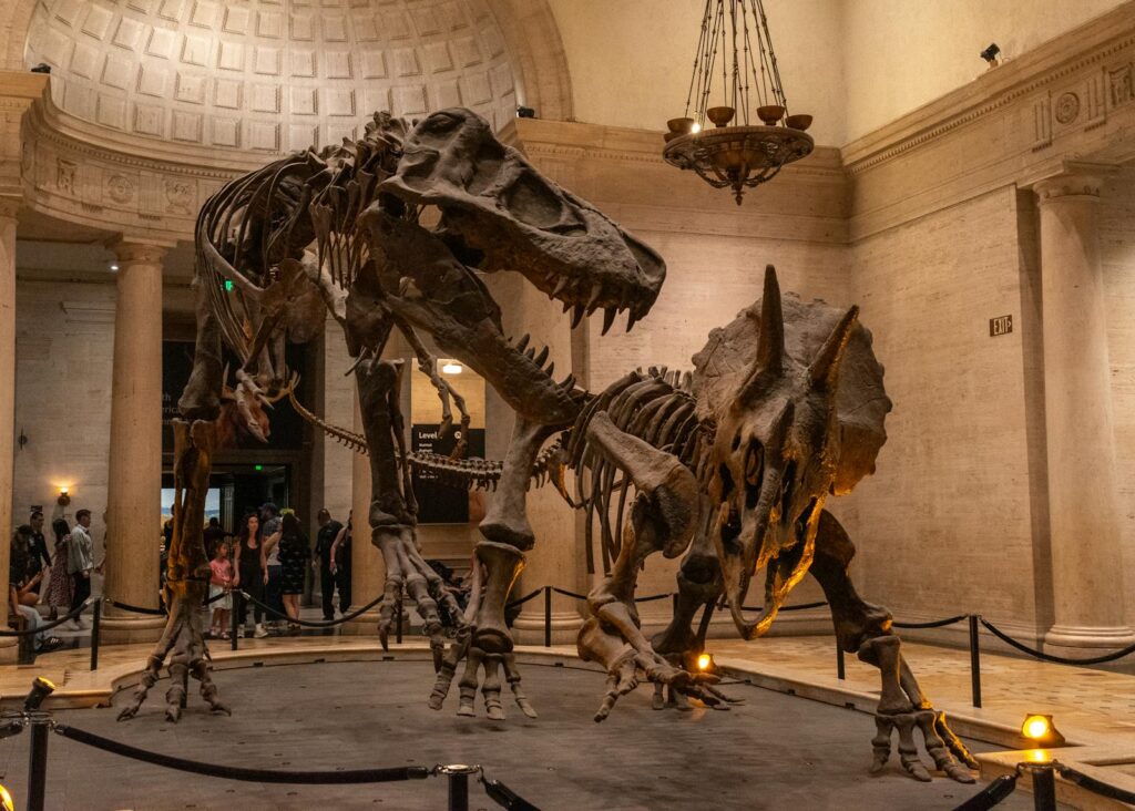11 Fossils That Helped Scientists Understand Evolution