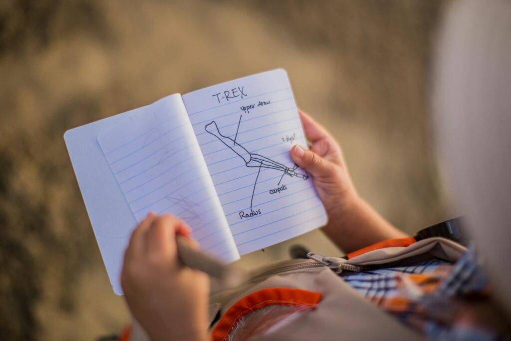 Close-up of a child studying a T-Rex dinosaur anatomy sketch in a notebook outdoors.