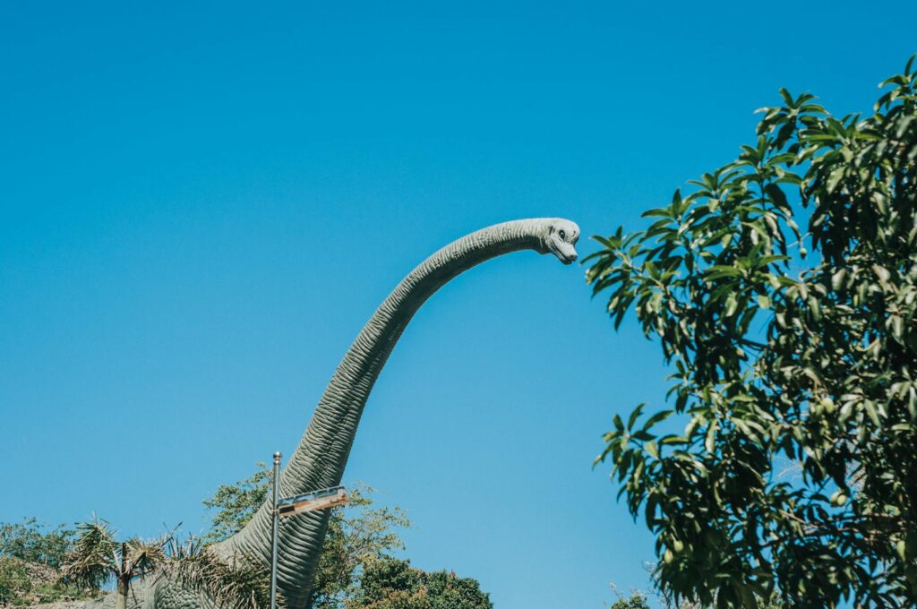 The Unique Neck Adaptation