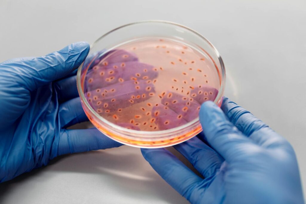 Pathological Specimens