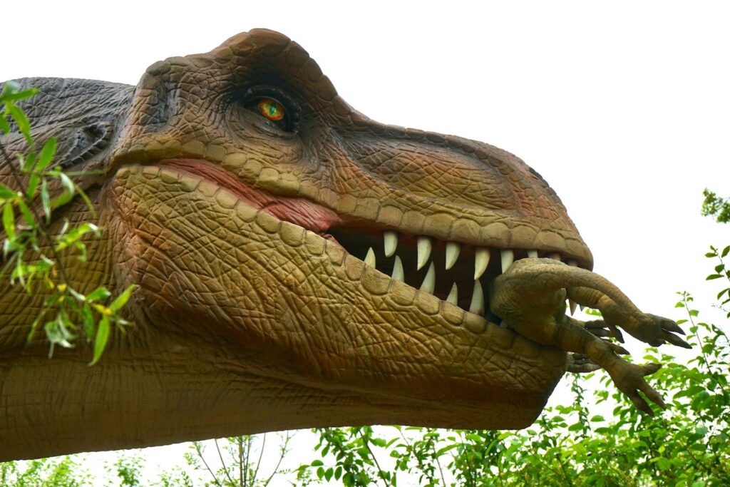Tyrannosaurus rex The Apex Predator