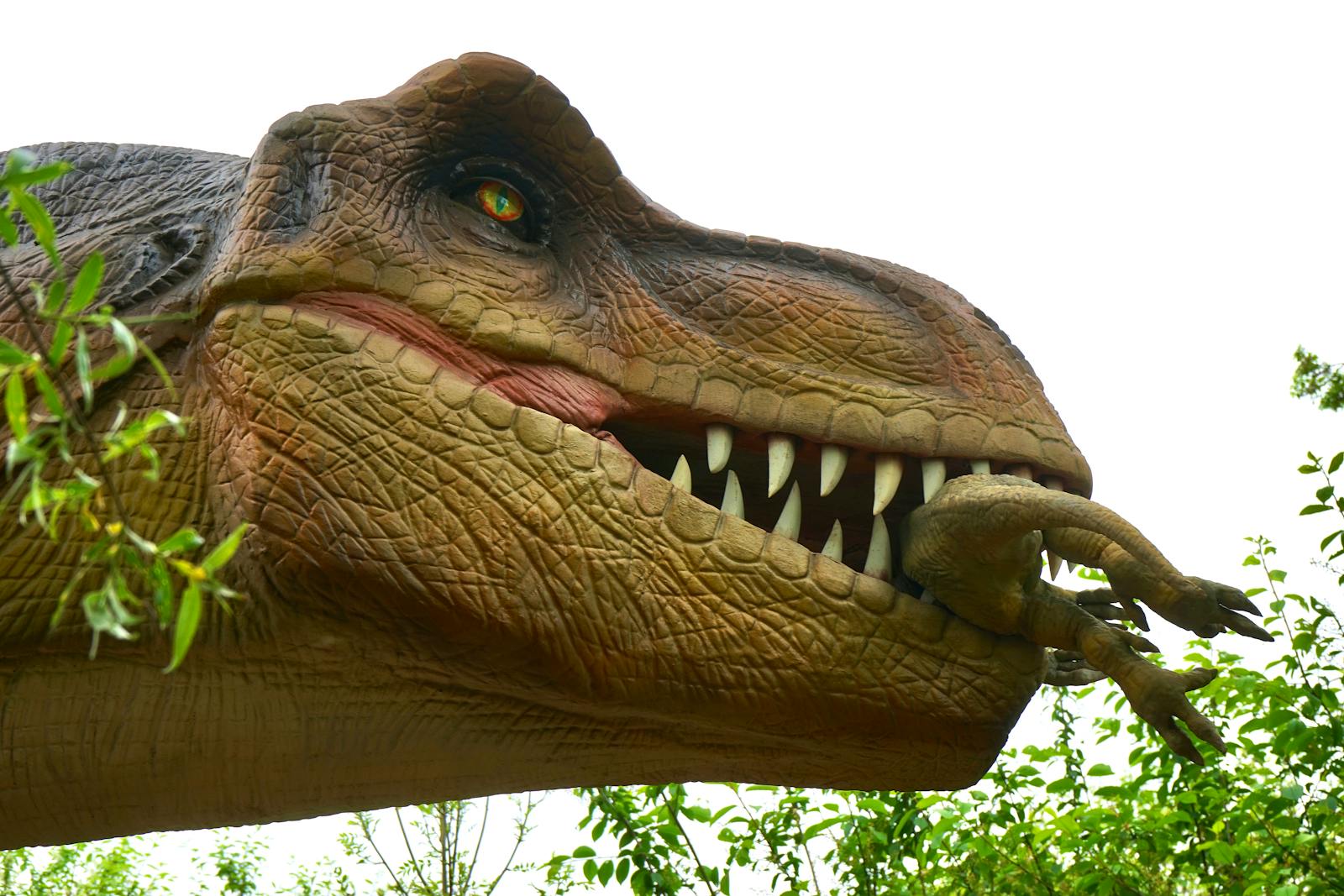 Tyrannosaurus rex The Apex Predator