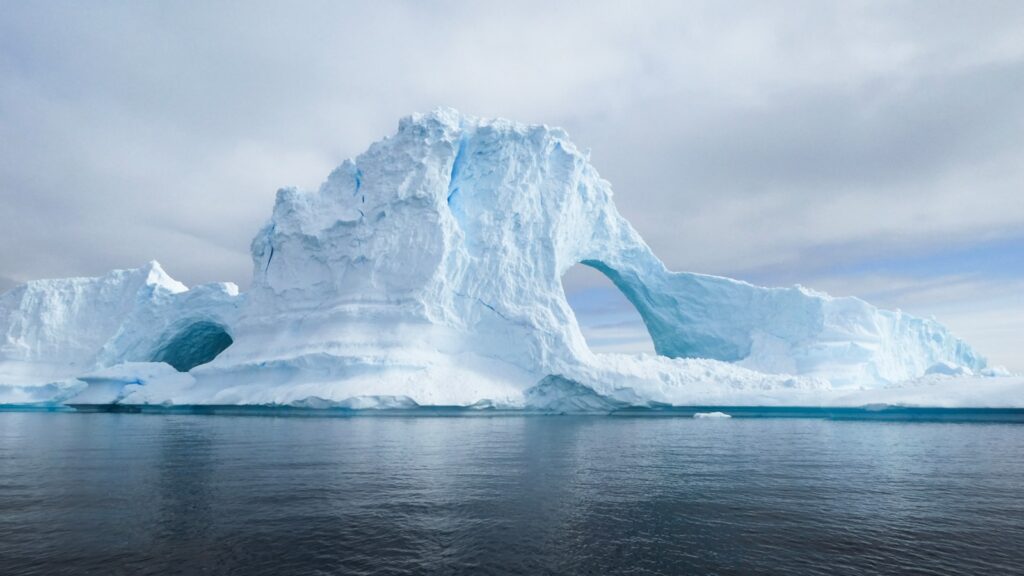 Antarctica’s ecosystem