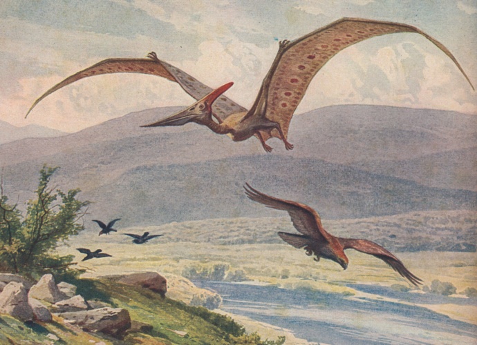 A large Pteranodon with spotted wings soars over a lush landscape with hills, a river, and three birds in flight, evoking a sense of prehistoric grandeur.