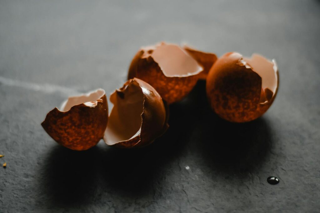 Physical Adaptations of Eggs