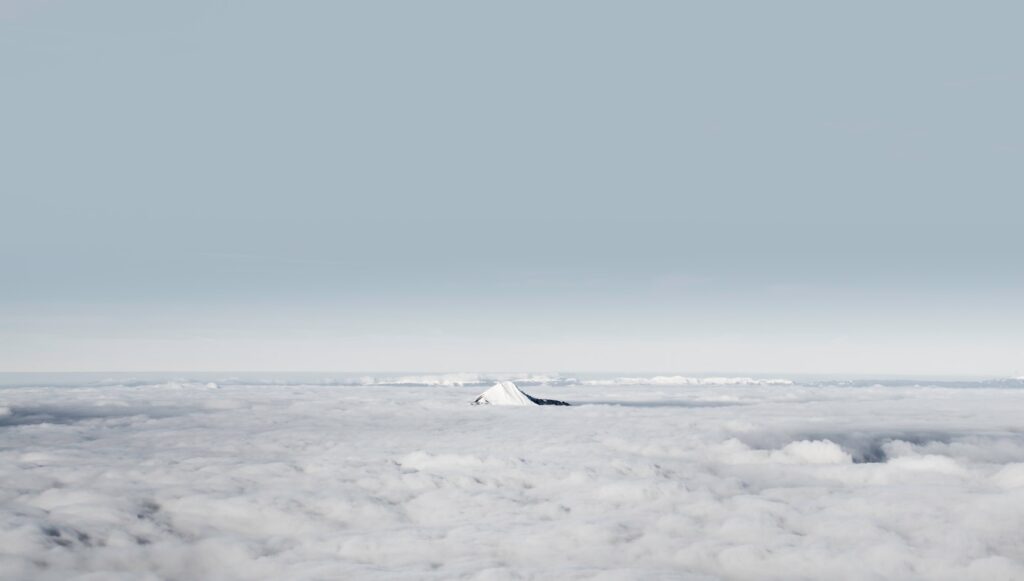field covered with snow