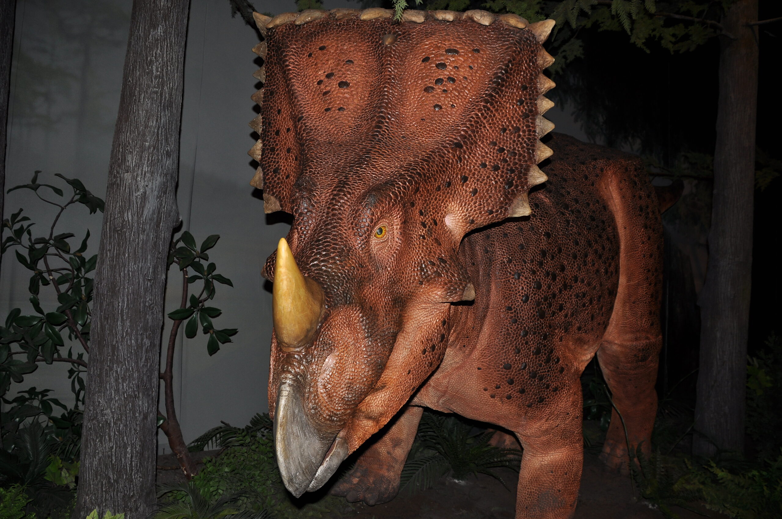 A life-sized, brown model of a dinosaur with a frilled head and single nose horn stands amid foliage and trees, evoking a prehistoric scene.