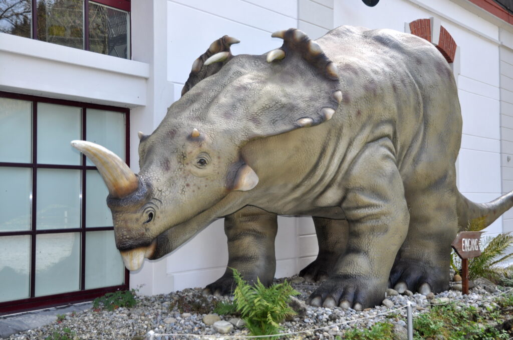 Large Centrosaurus statue with textured skin and prominent horns stands by a building with windows. Surrounding ground has gravel and ferns, creating a realistic prehistoric atmosphere.