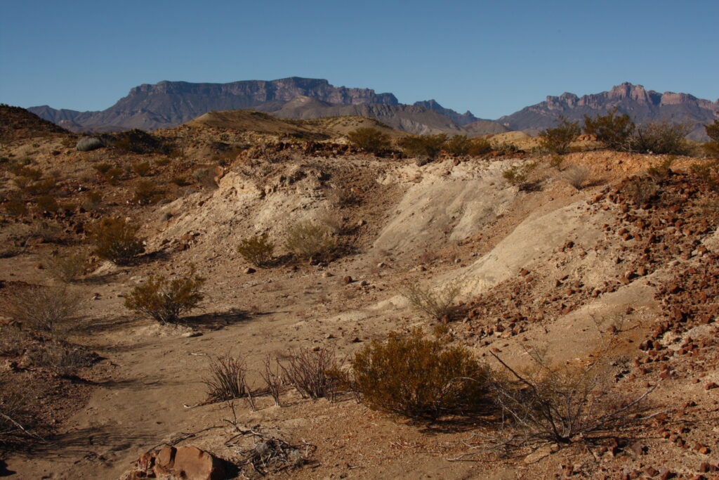 Arid desert landscape with sparse vegetation, dry soil, and scattered shrubs. Rugged mountains rise in the background under a clear blue sky.